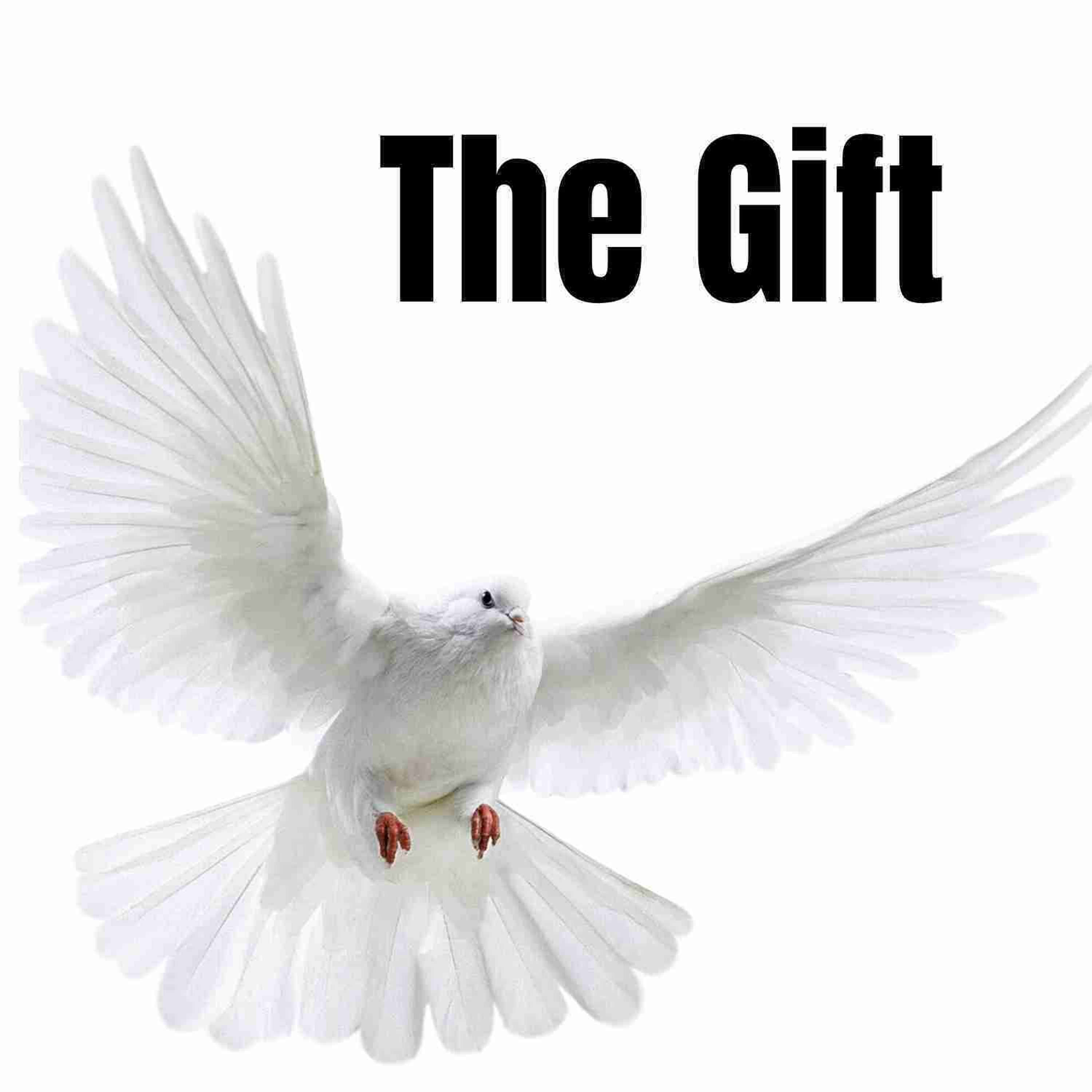 The Gift episode artwork
