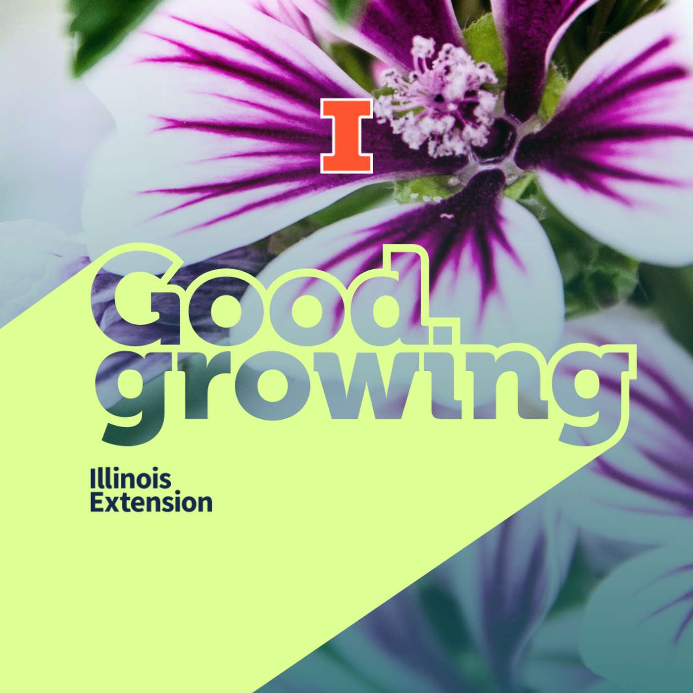 Good Growing