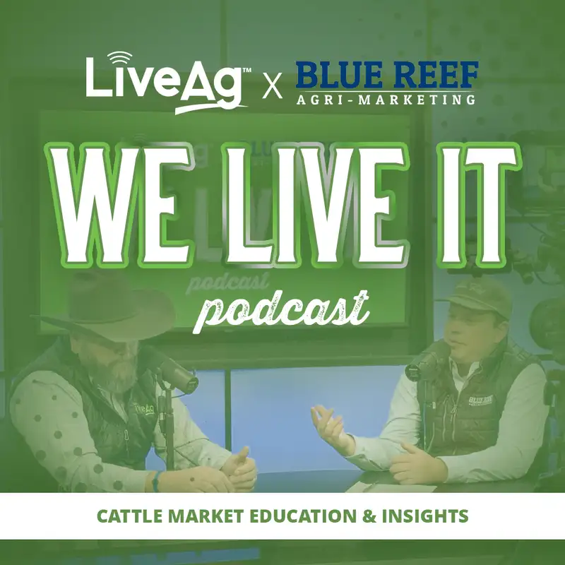 Live Market Preview: Stockmen at the Stadium Video Auction | Episode 1