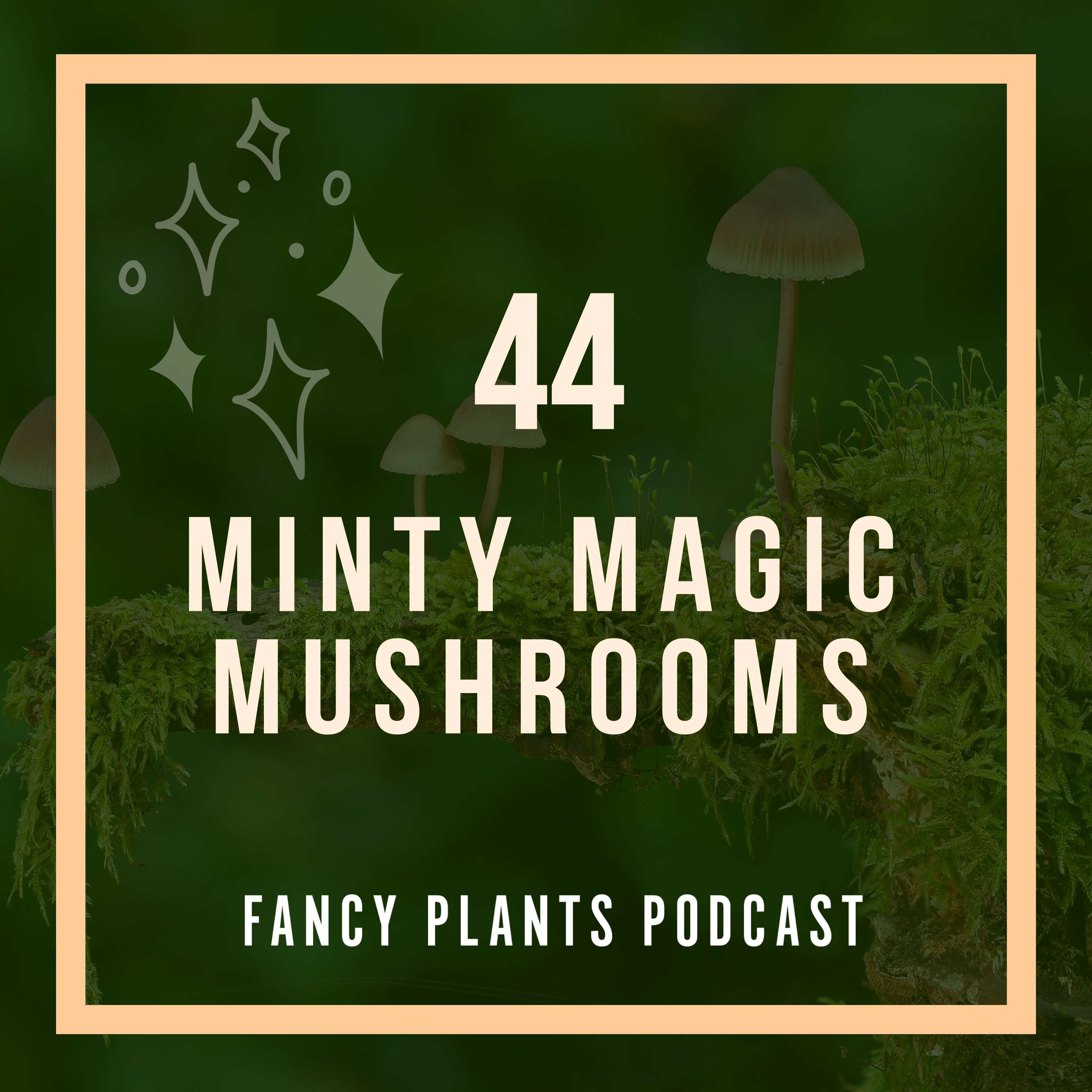 44. Minty Magic Mushrooms