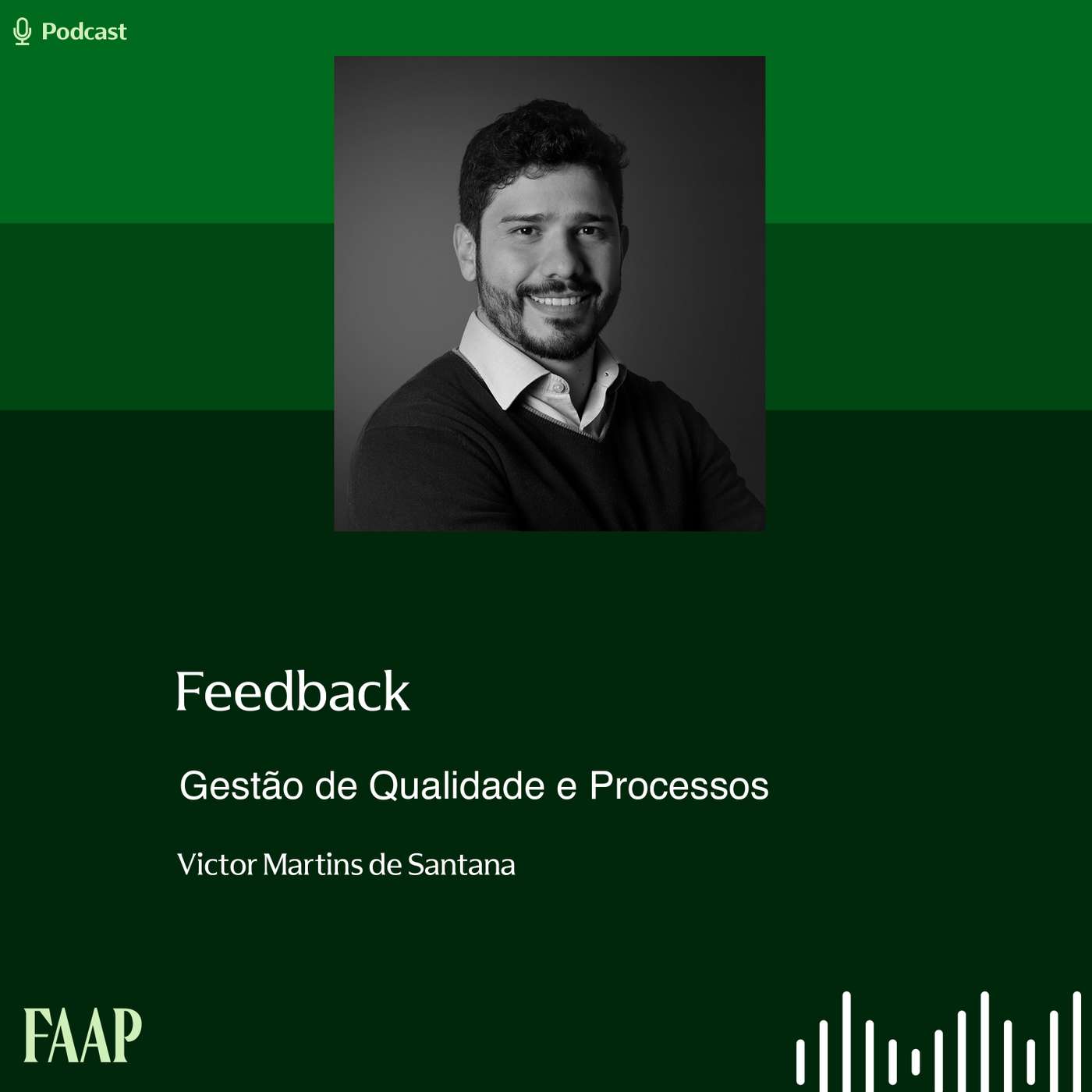 Feedback episode artwork
