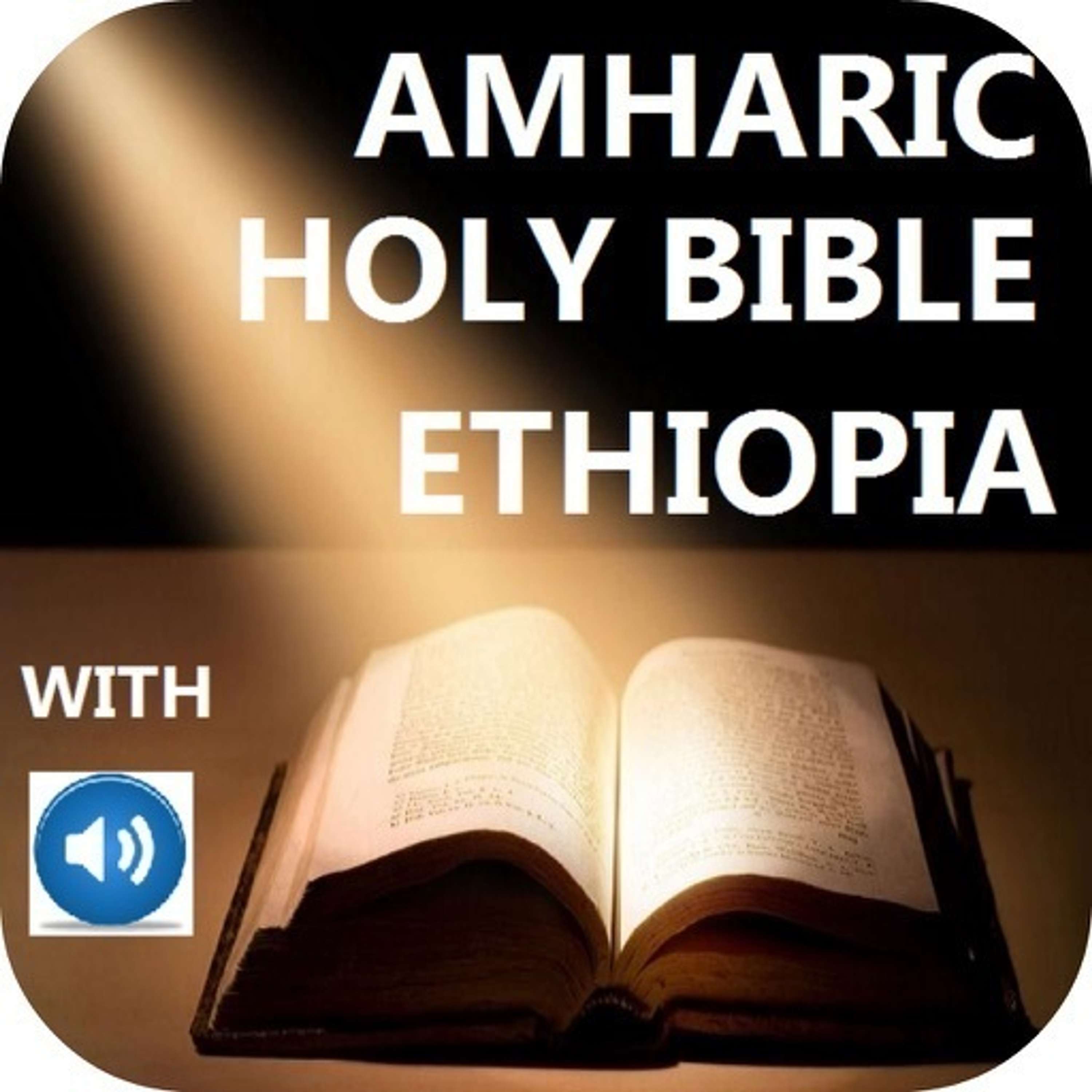 Amharic Audio New Testament 