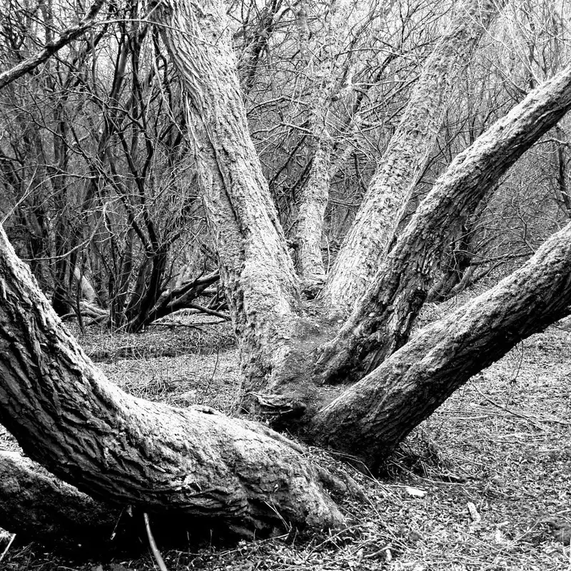 Ufton Nature Reserve