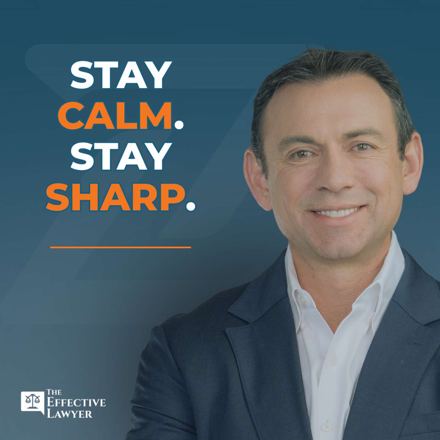 The Effective Lawyer