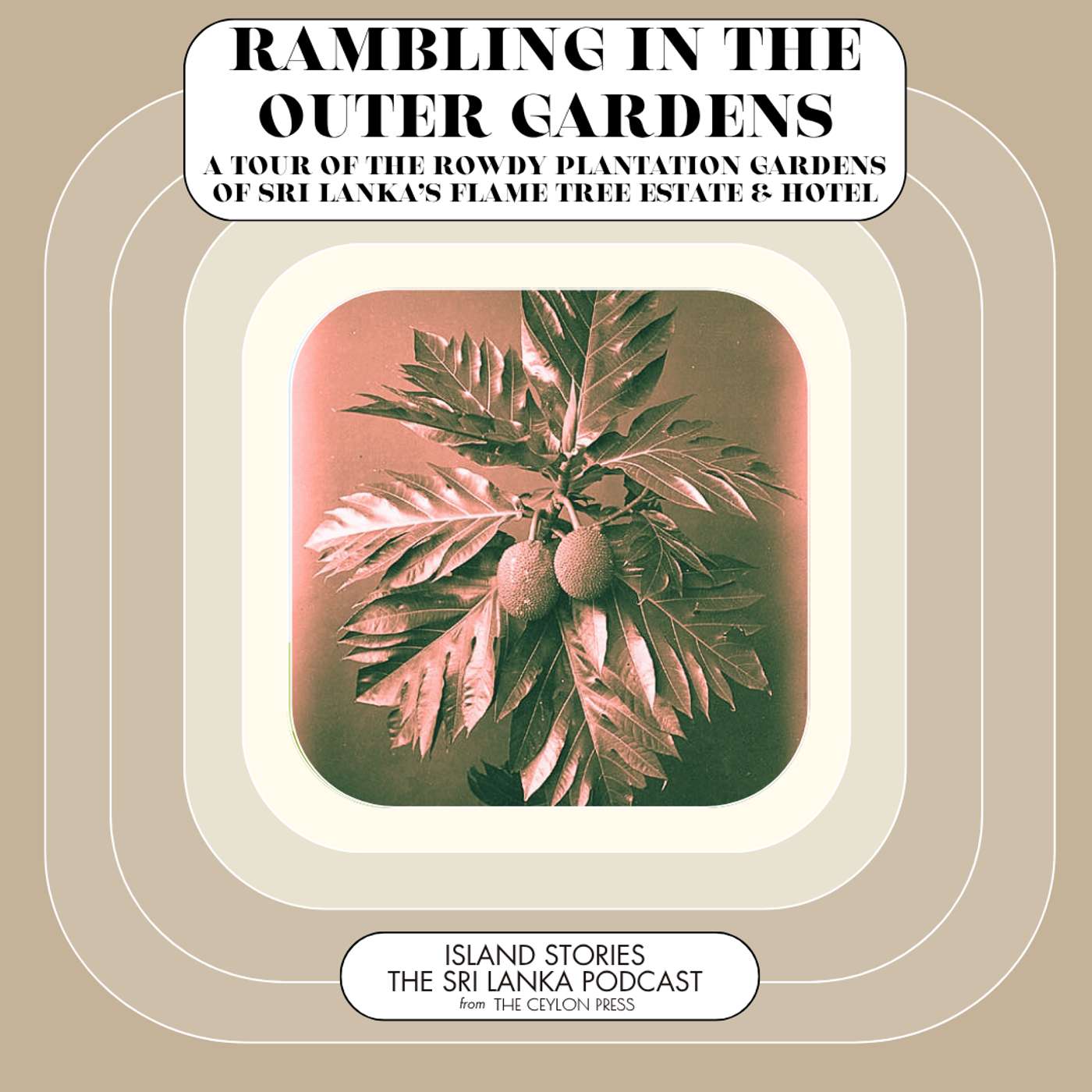 Rambling in the Outer Gardens Rambling in the Outer Gardens