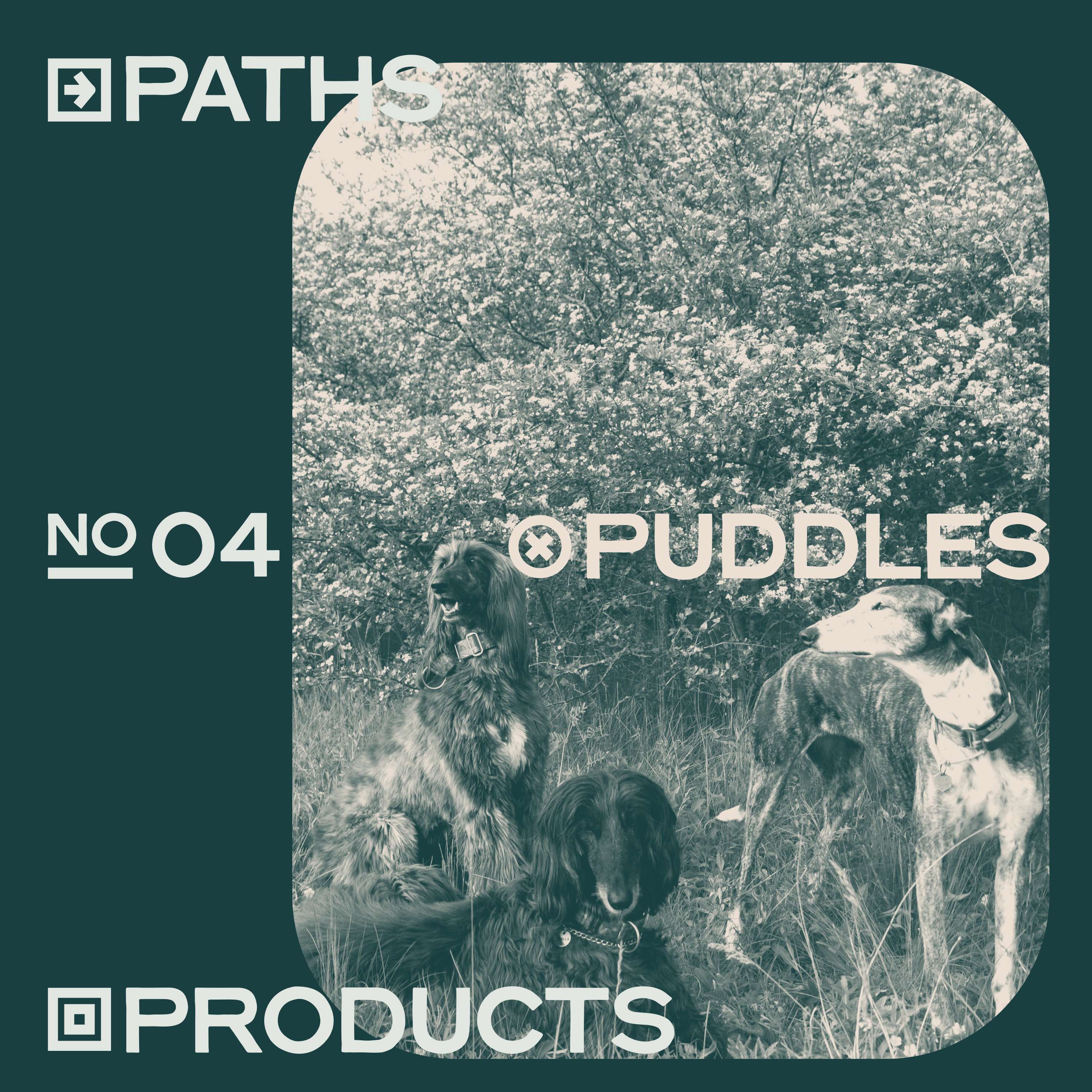 Paths, Puddles, Products