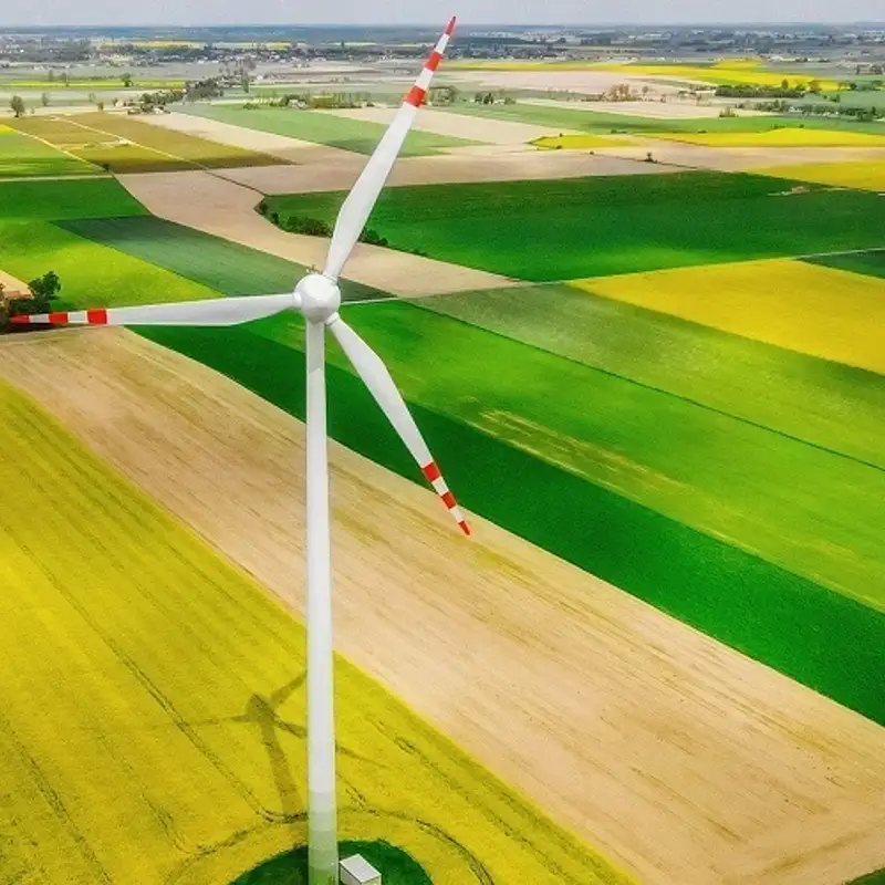 ECONOMIE - Investissements verts face aux menaces sur la biodiversité