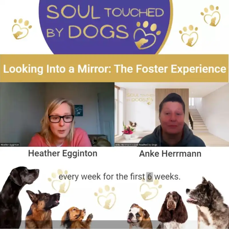 Heather Egginton - Looking Into a Mirror: The Foster Experience