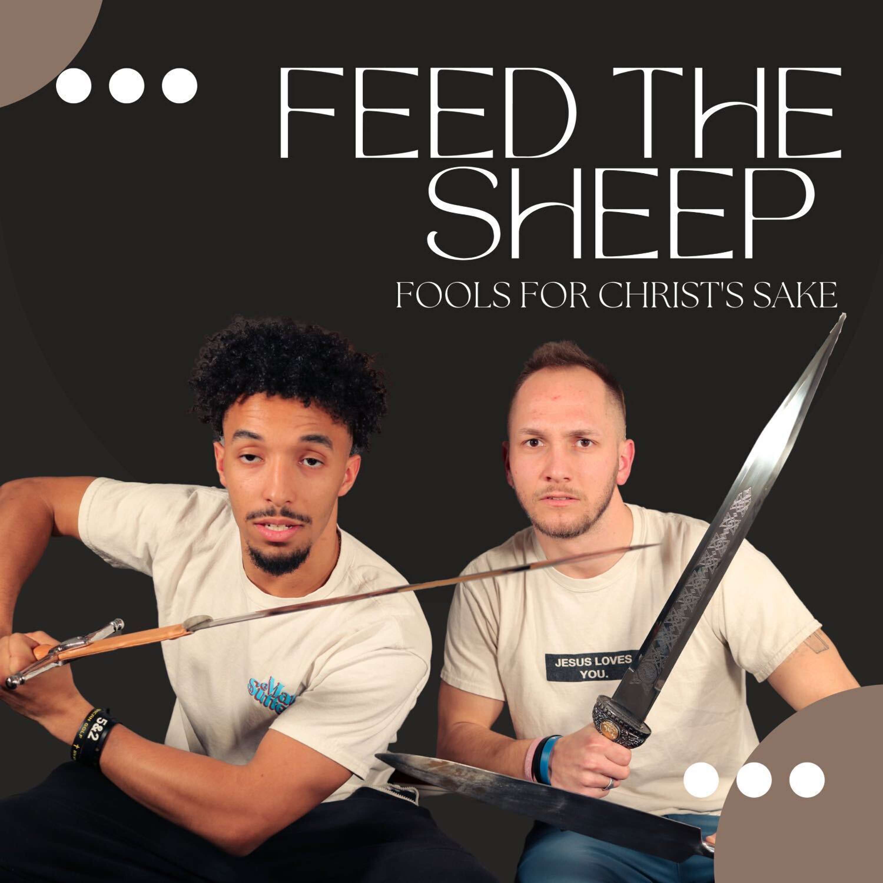 Feed the Sheep