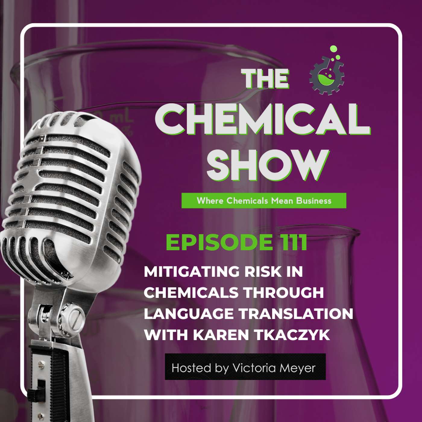 Mitigating Risk in Chemicals Through Language Translation with Karen Tkaczyk - Ep. 111