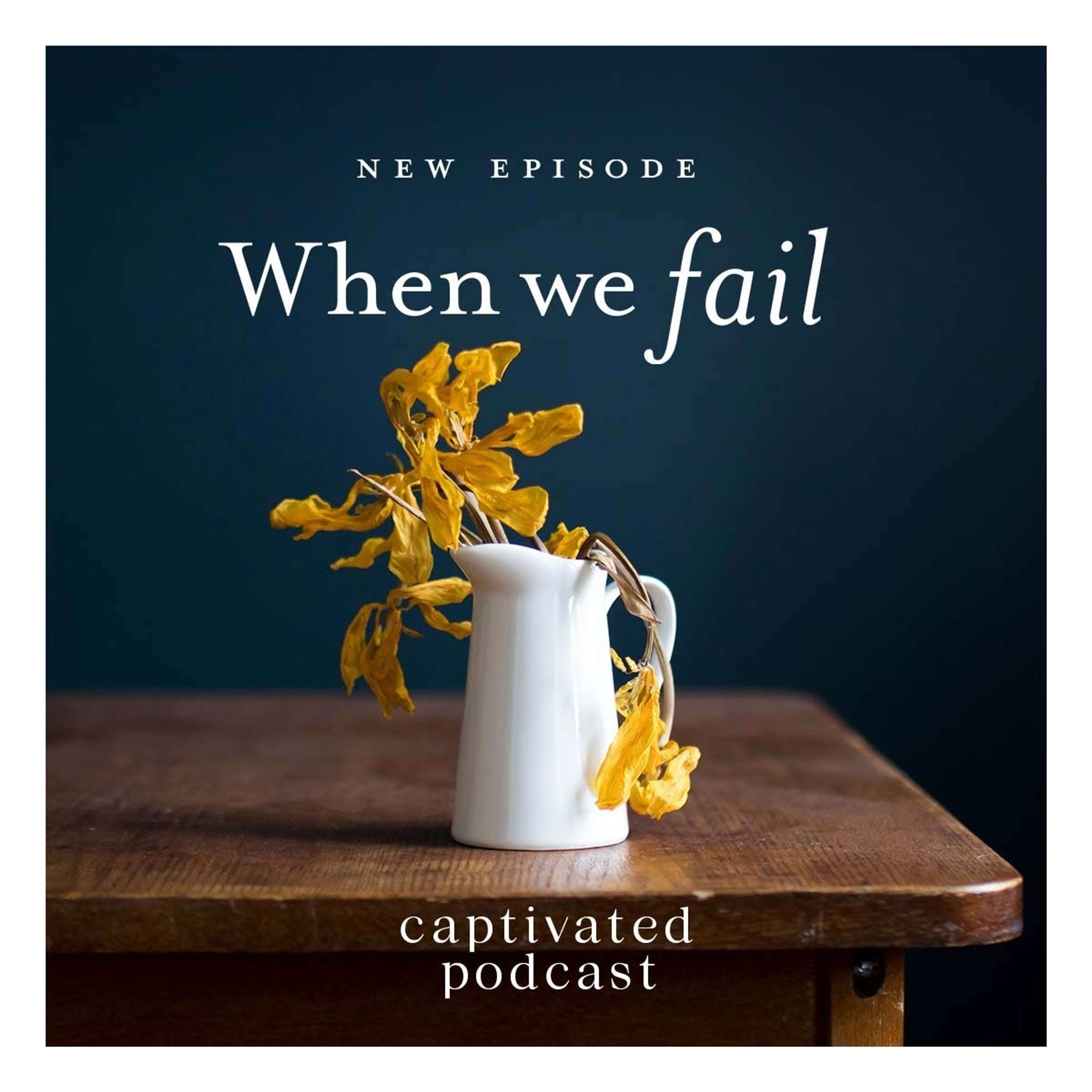 When We Fail
