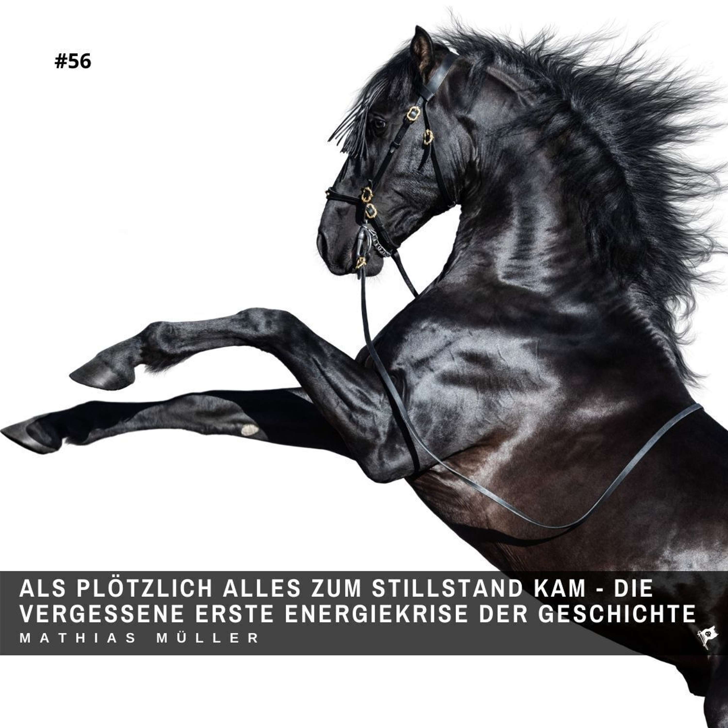 Der stoische Pirat