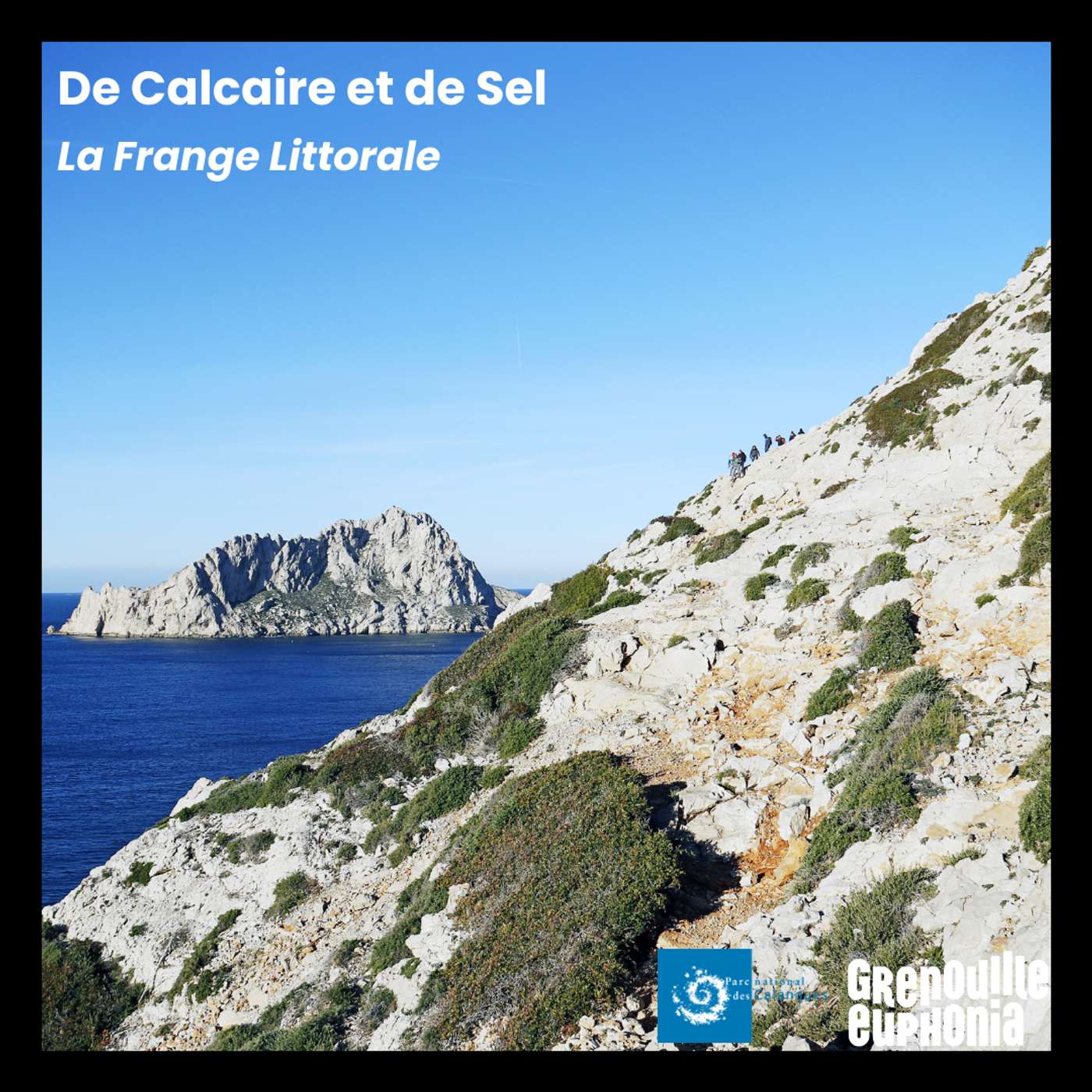 De Calcaire et De Sel | La frange littorale De Calcaire et De Sel | La frange littorale