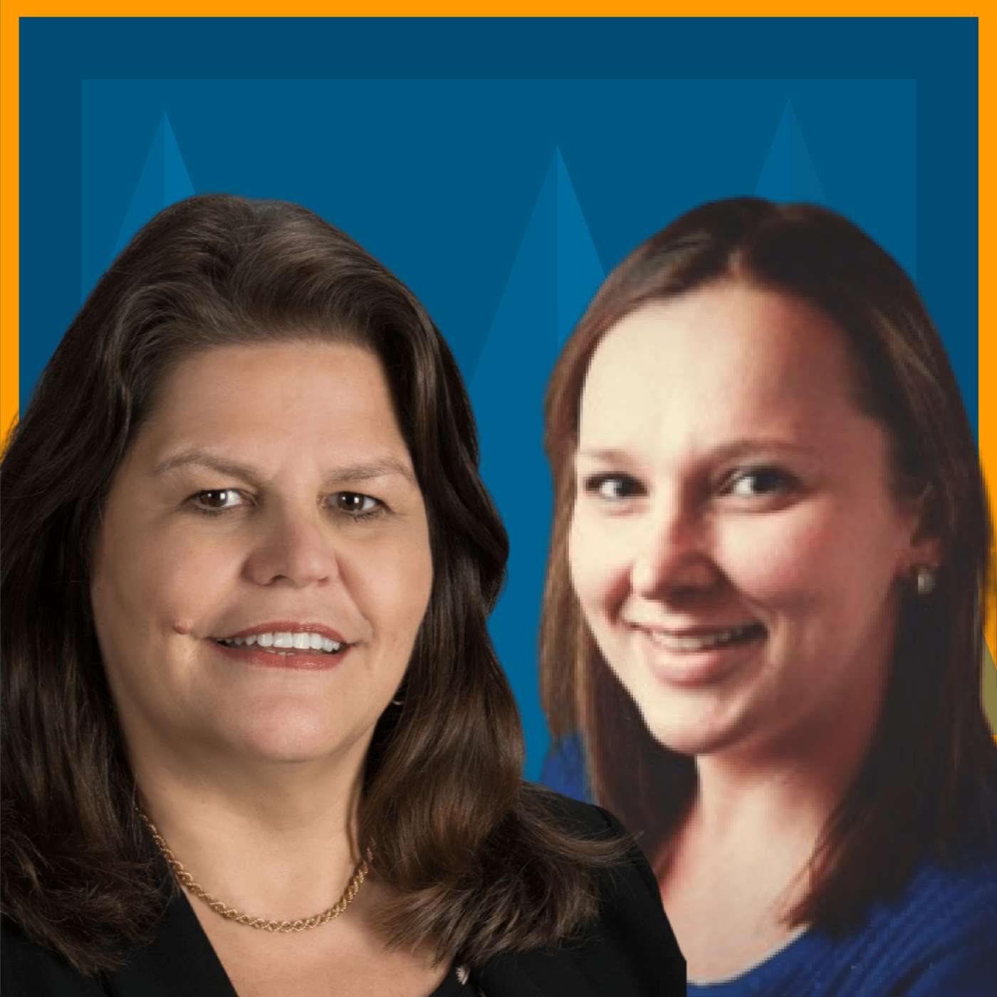 The Mostly Legal Podcast