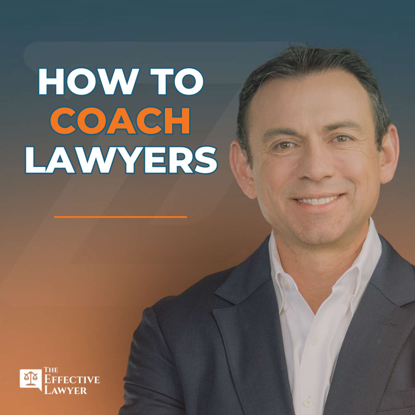 The Effective Lawyer