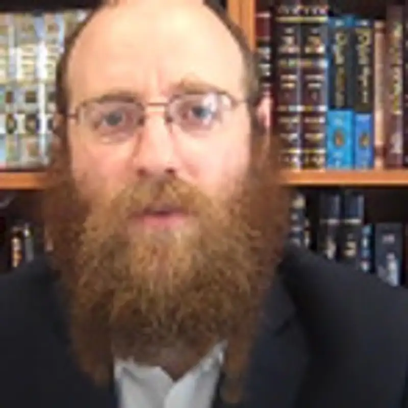 Rabbi Yonason Johnson, Classic Shiur - Sicha 3, Part 2