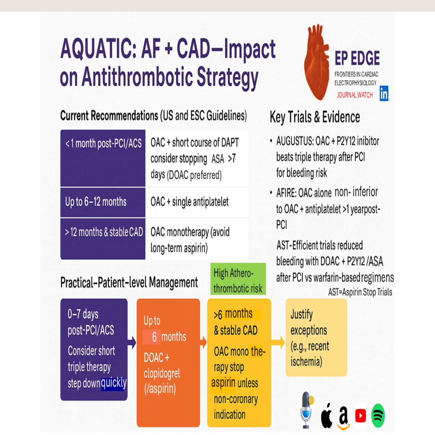EP Edge Journal Watch: Critical Analysis: AQUATIC Trial — AF + CAD: Impact on Antithrombotic Strategy (NEJM October 2025)