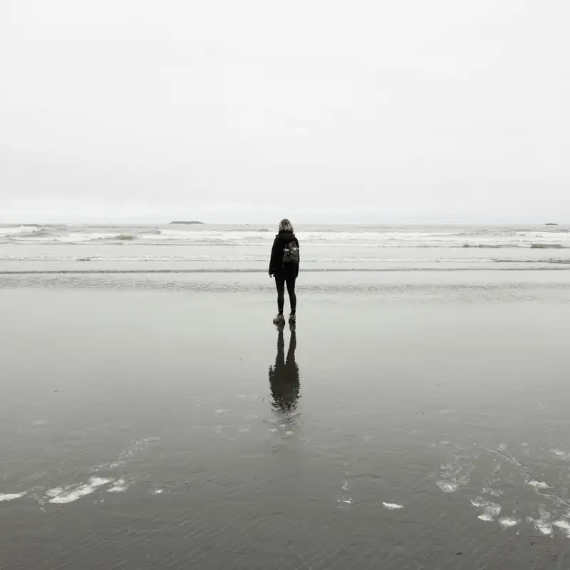 Loneliness Vs Solitude