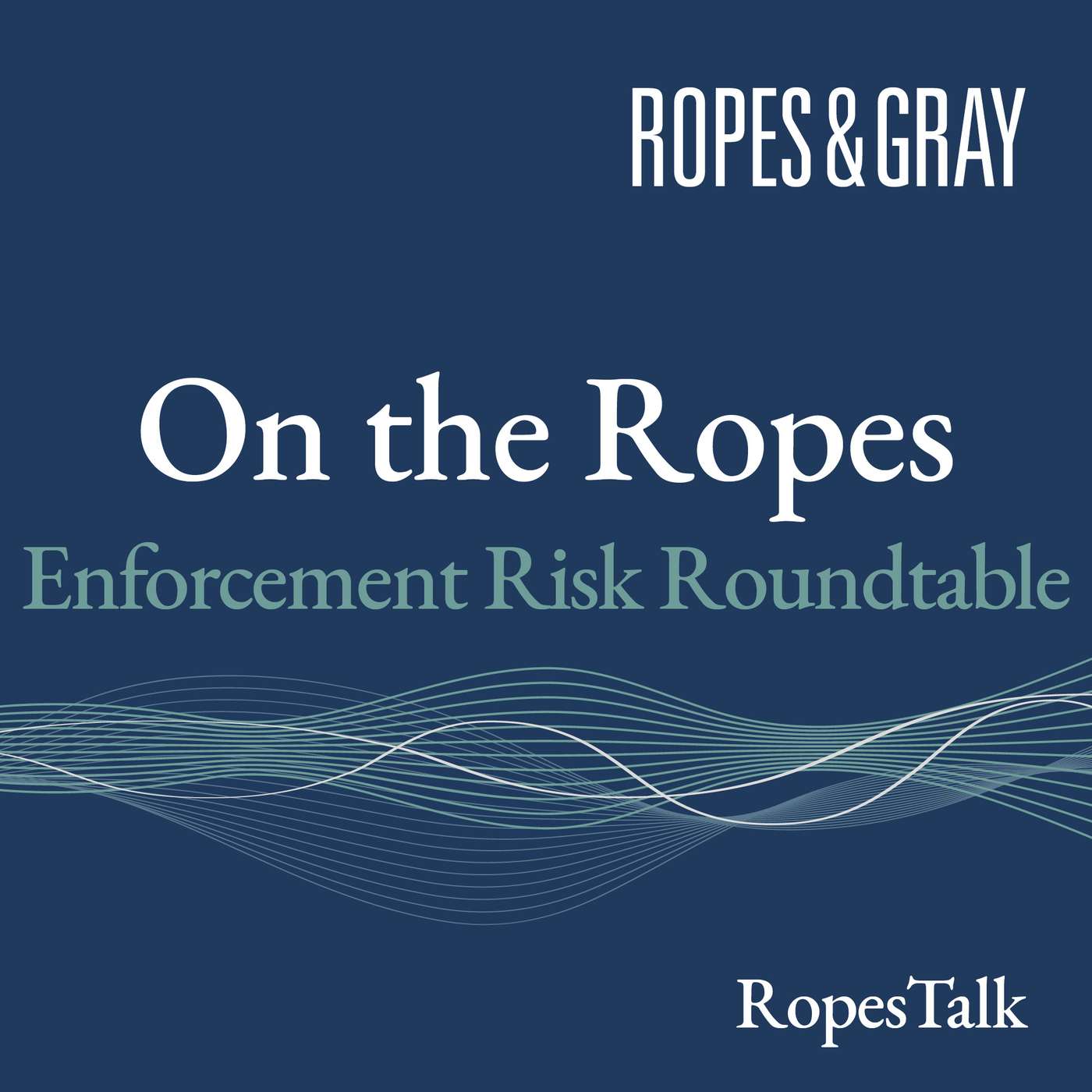 On the Ropes: Enforcement Risk Roundtable