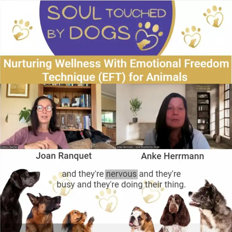 Joan Ranquet - Nurturing Wellness With Emotional Freedom Technique (EFT) for Animals 