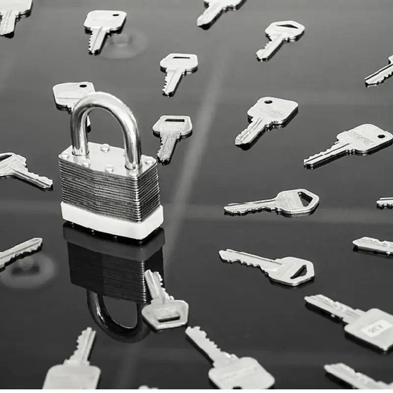 MARKETING - Entrevue avec M. Marc Desruisseaux, Directeur-Général chez Mul-T-Lock Canada