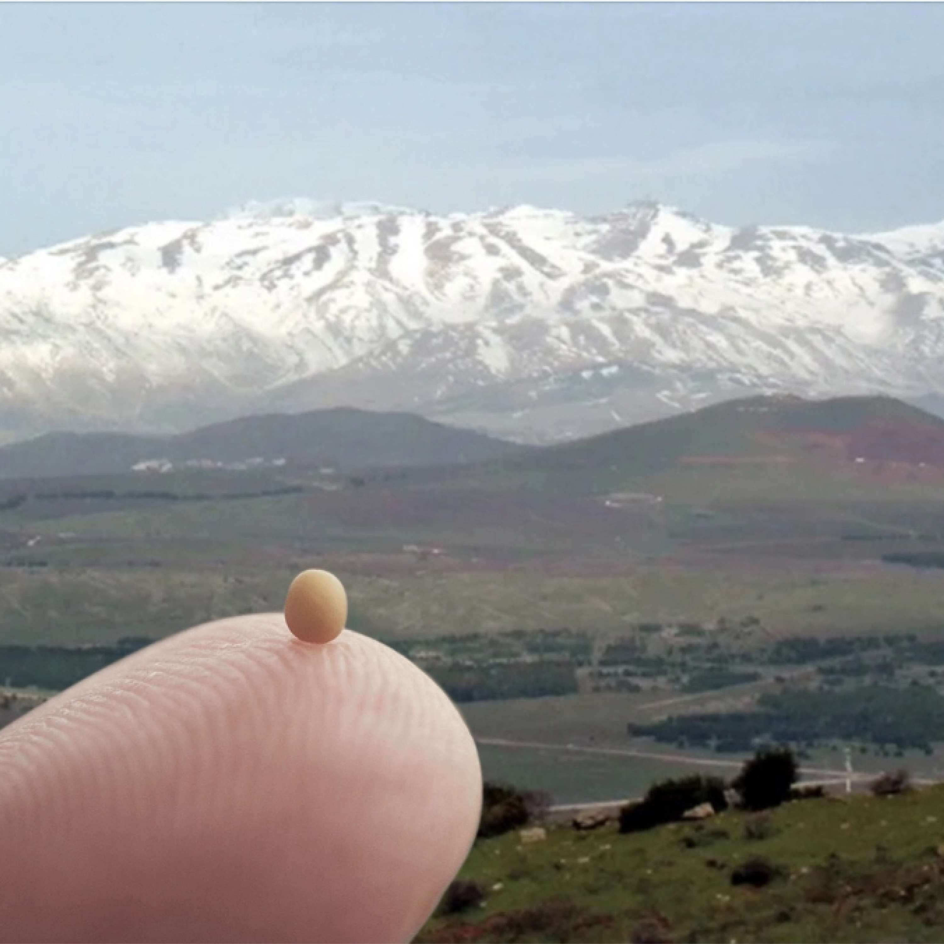 How to Move a Mountain with a Mustard Seed