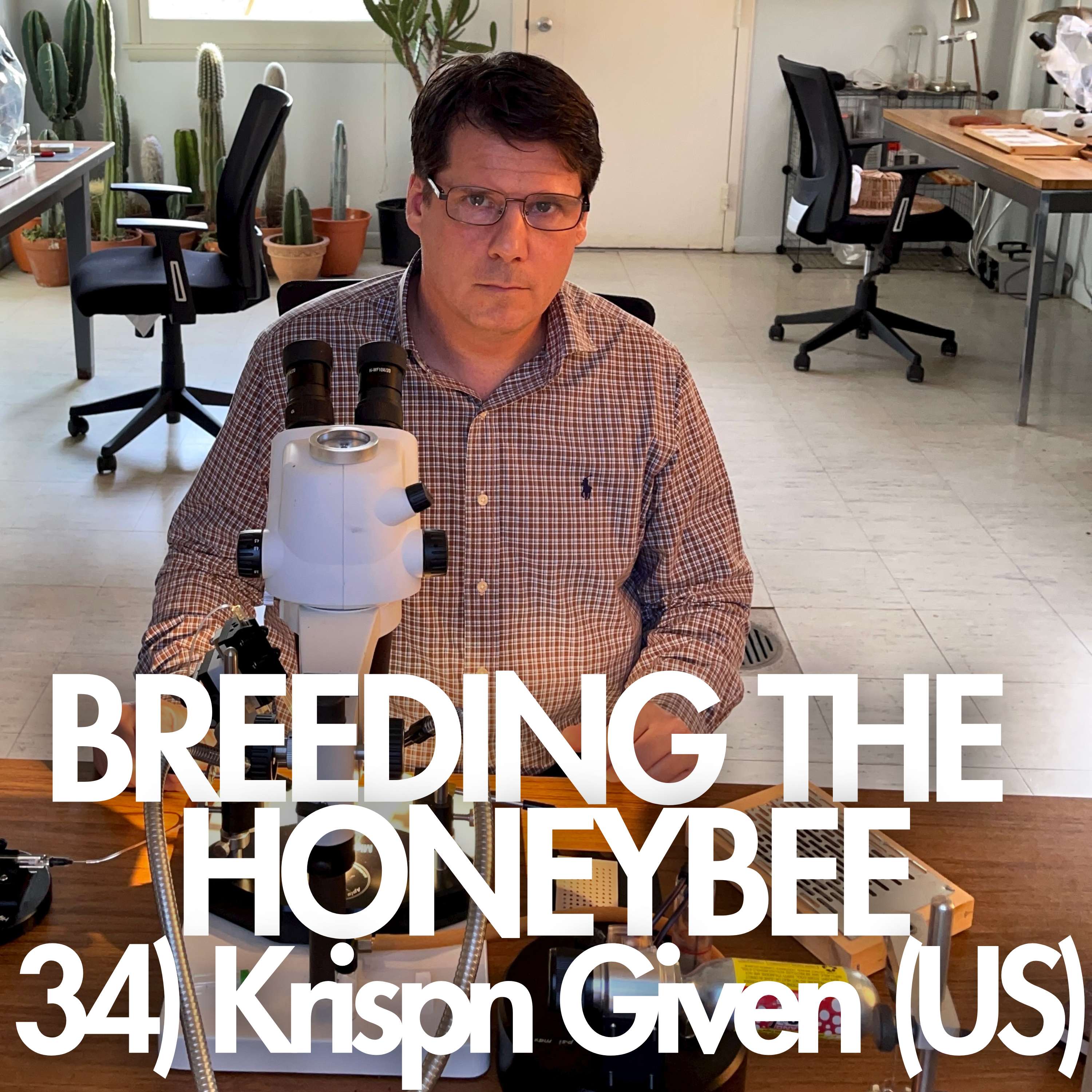 Breeding the Honeybee