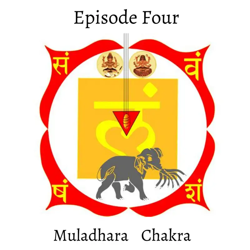 Chakra Series: Muladhara