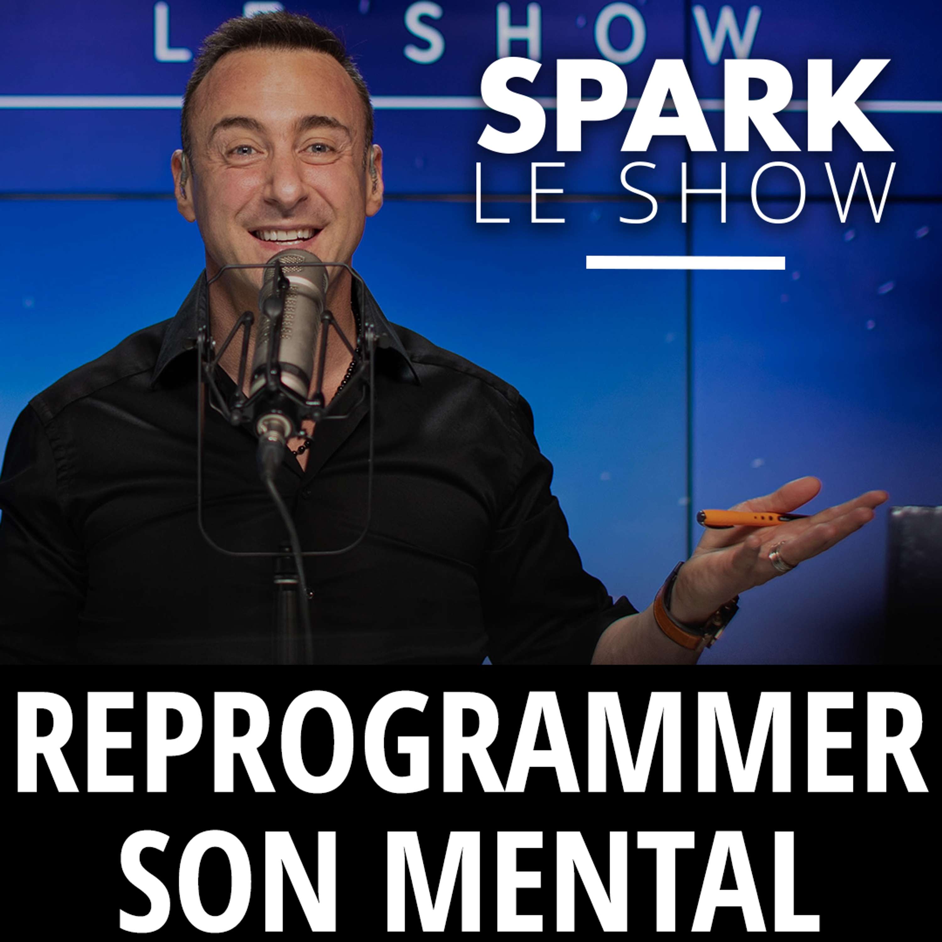 Le Podcast de Franck Nicolas