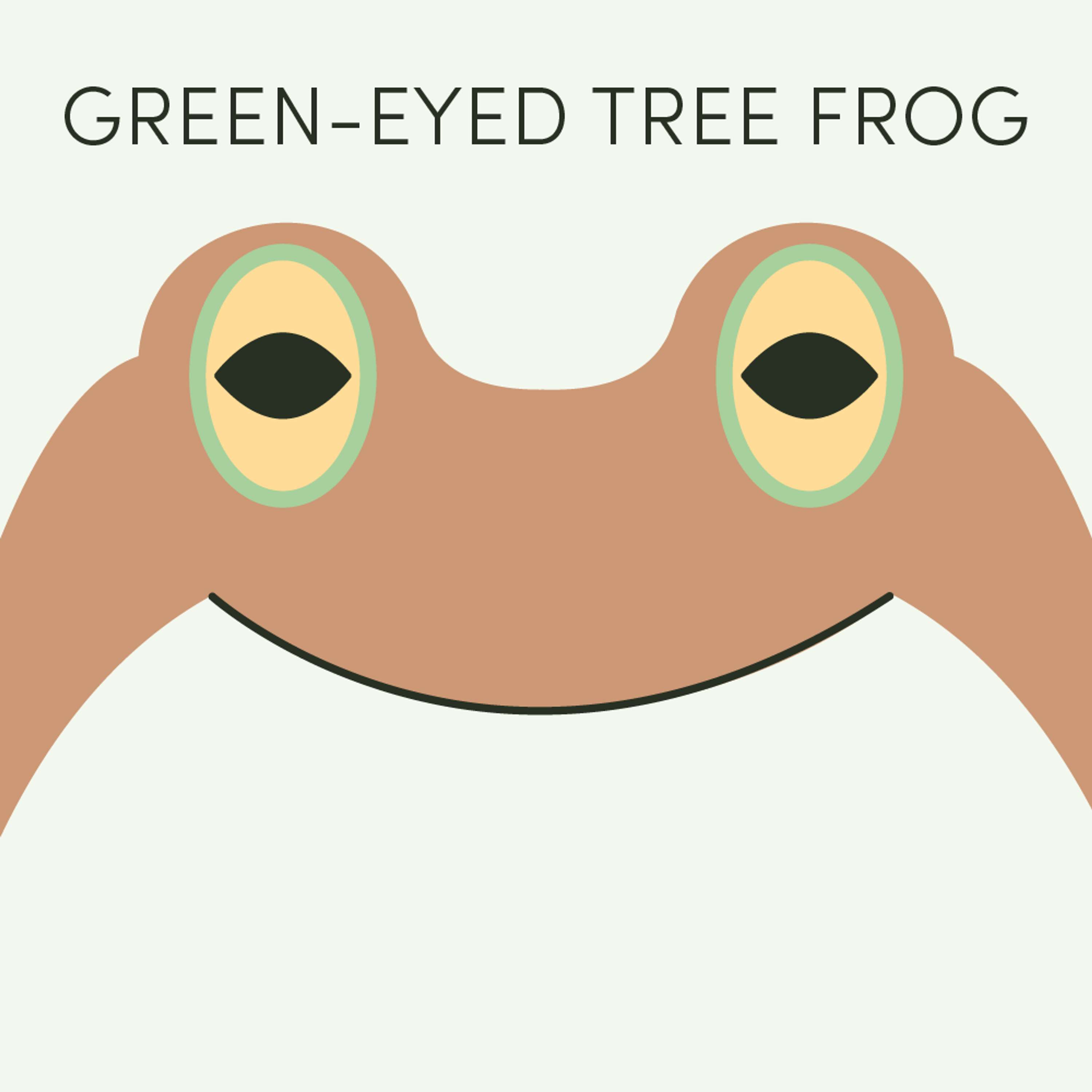 Green-Eyed Tree Frog | Week of July 1st