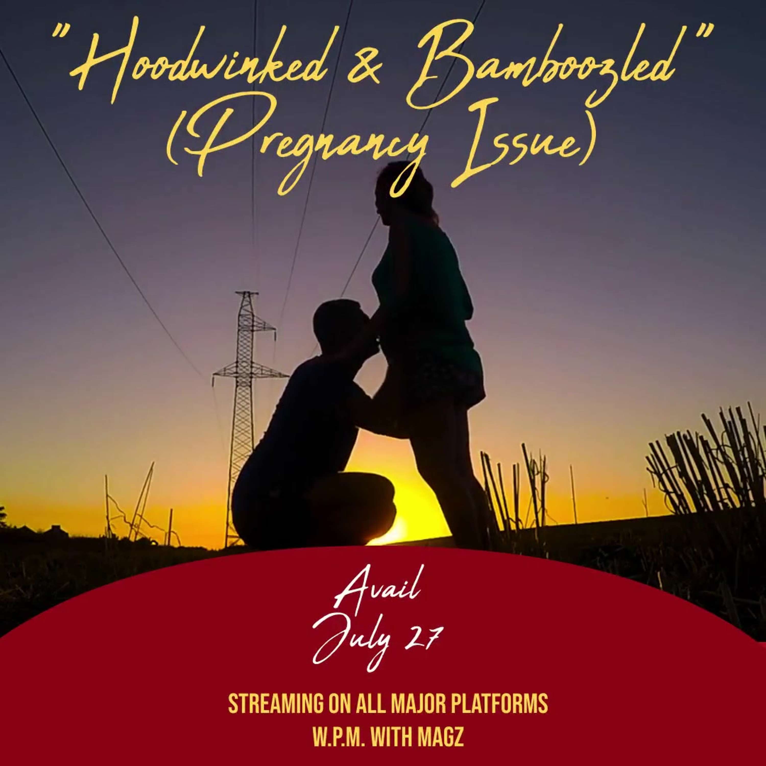 Hoodwinked and Bamboozled (Pregnancy Issue)