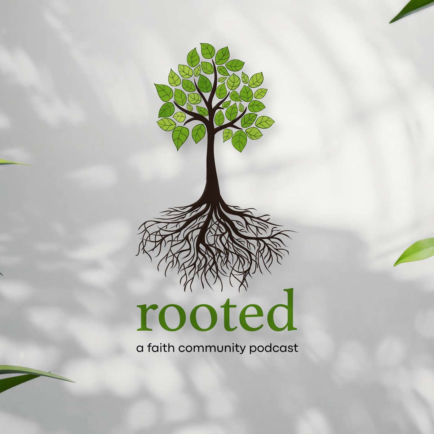 Rooted