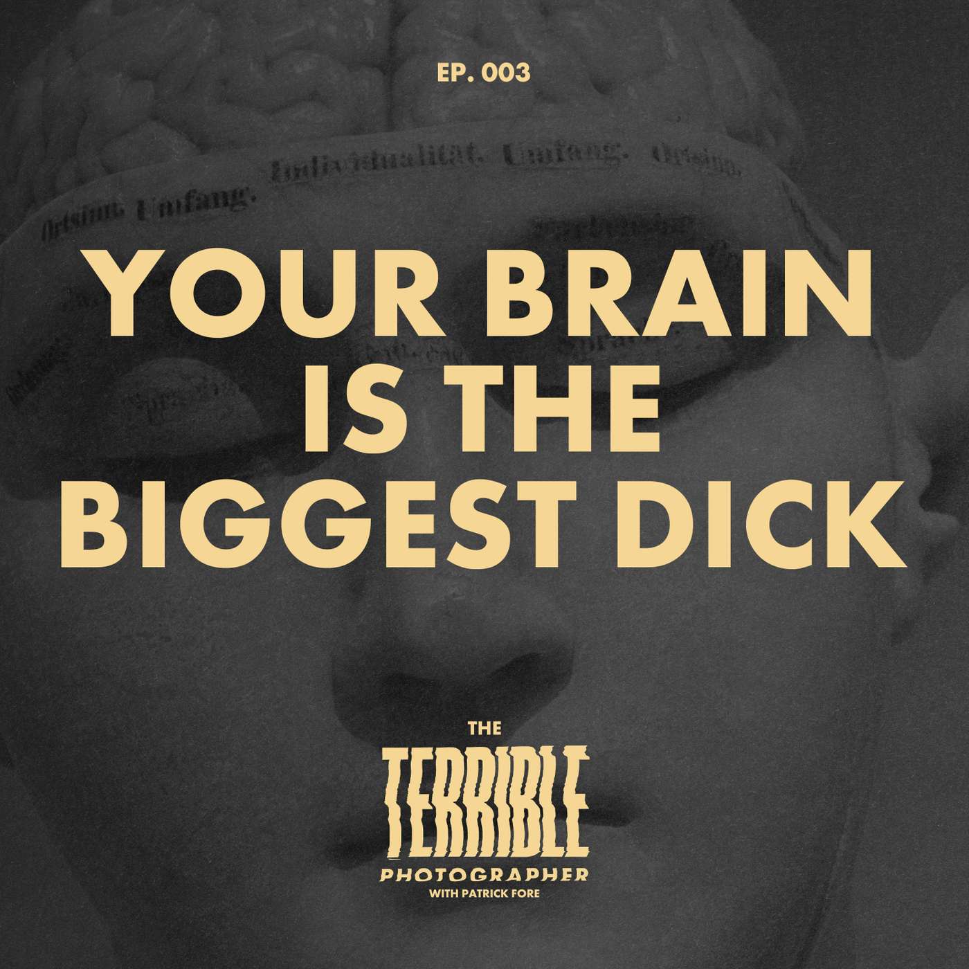 Your Brain is the Biggest Dick - Photographers Can Be Dicks – Part 2