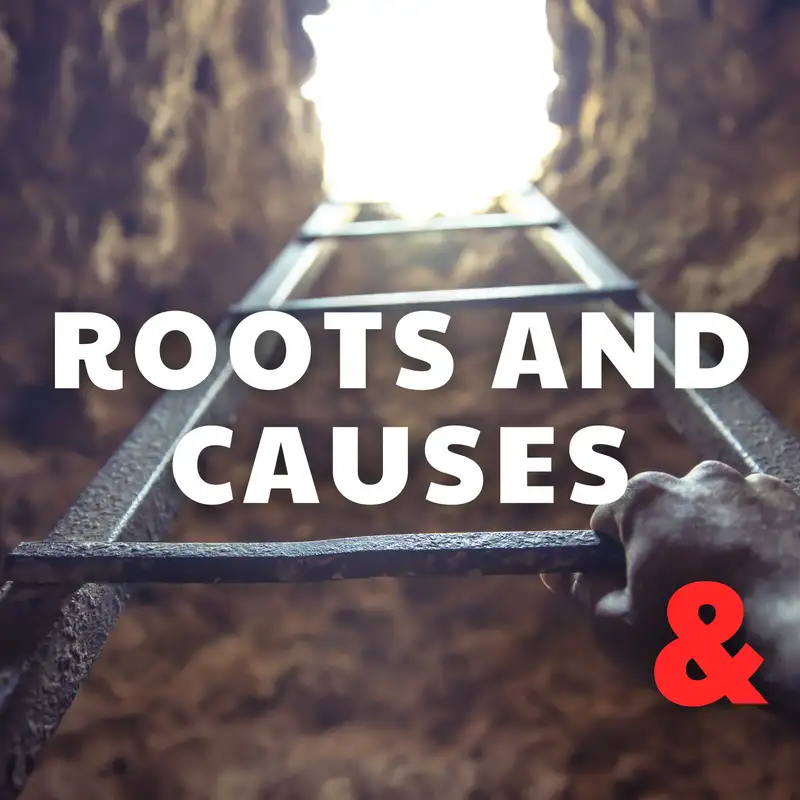 Roots and Causes