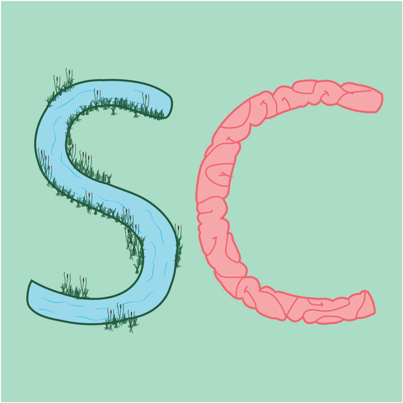 Stream of Conciousness