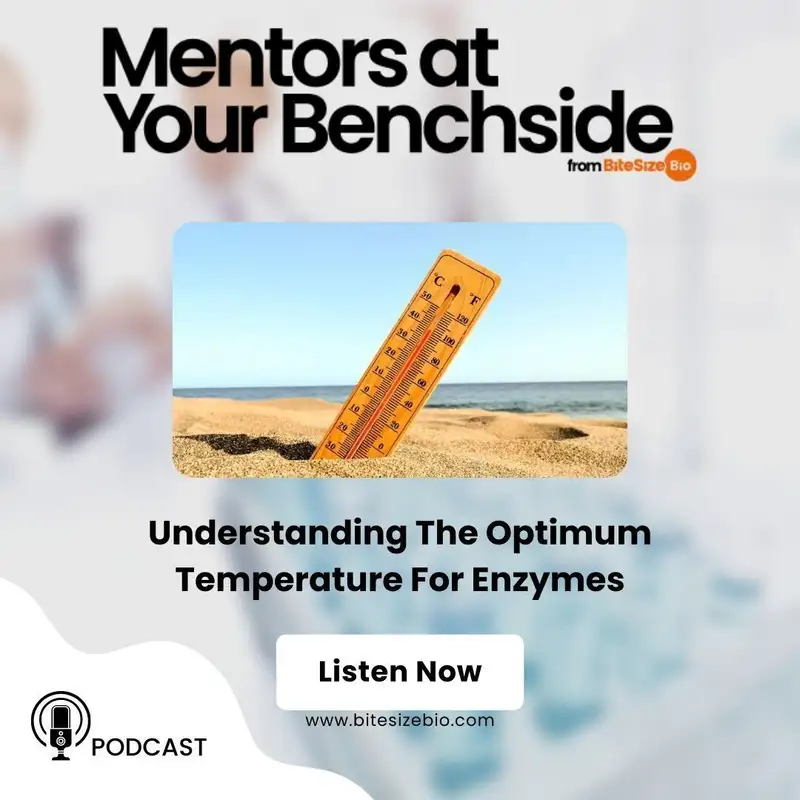 Why Do Enzymes Have Optimum Temperatures?