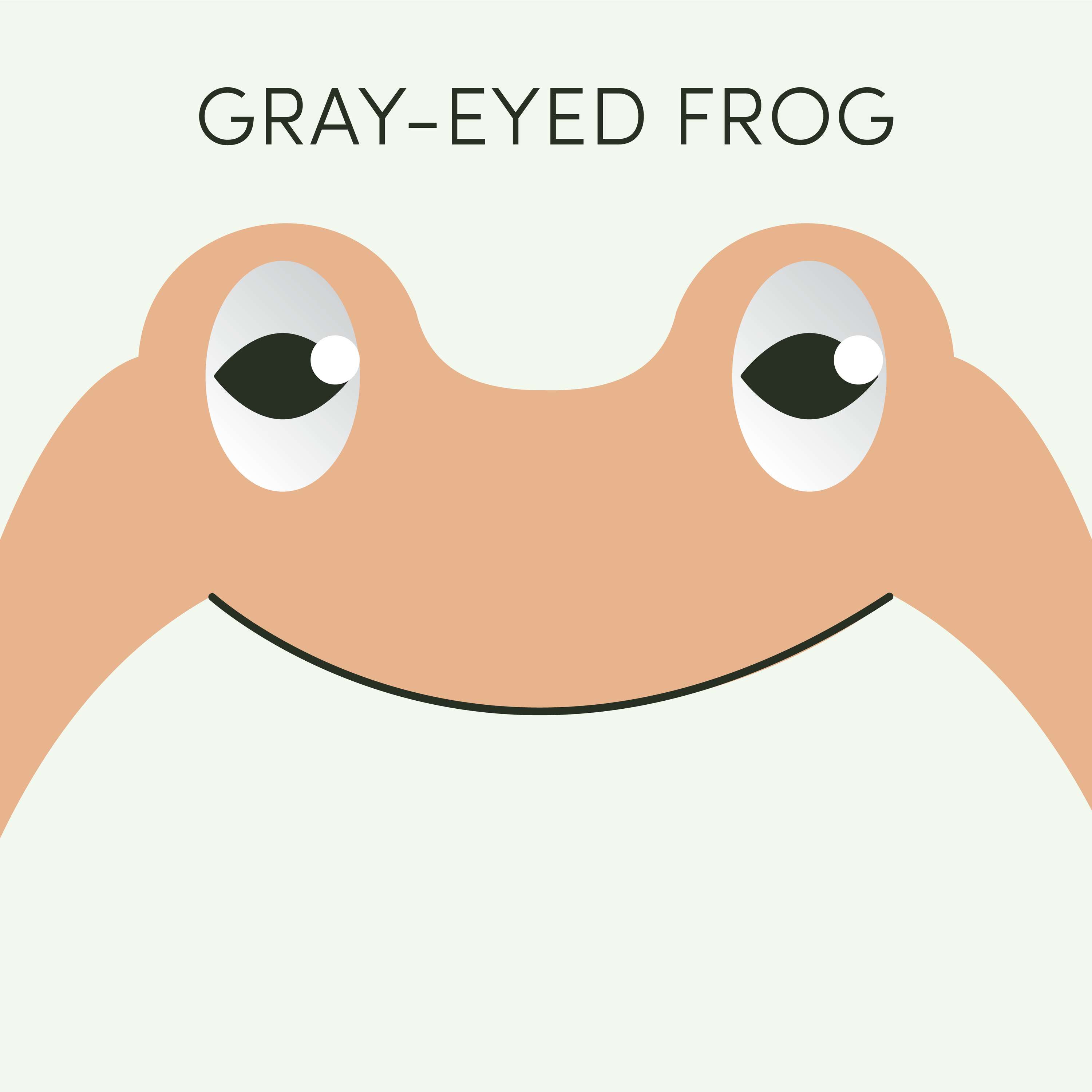 Gray-Eyed Frog | Week of August 15th