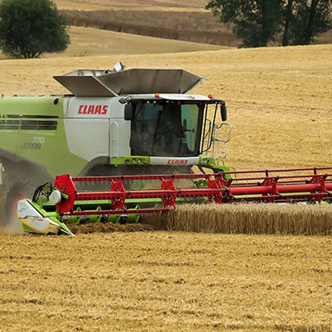 The Tillage Edge