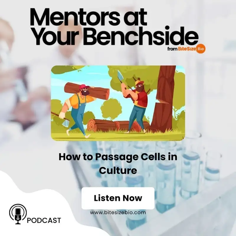 How to Passage Cells in Culture