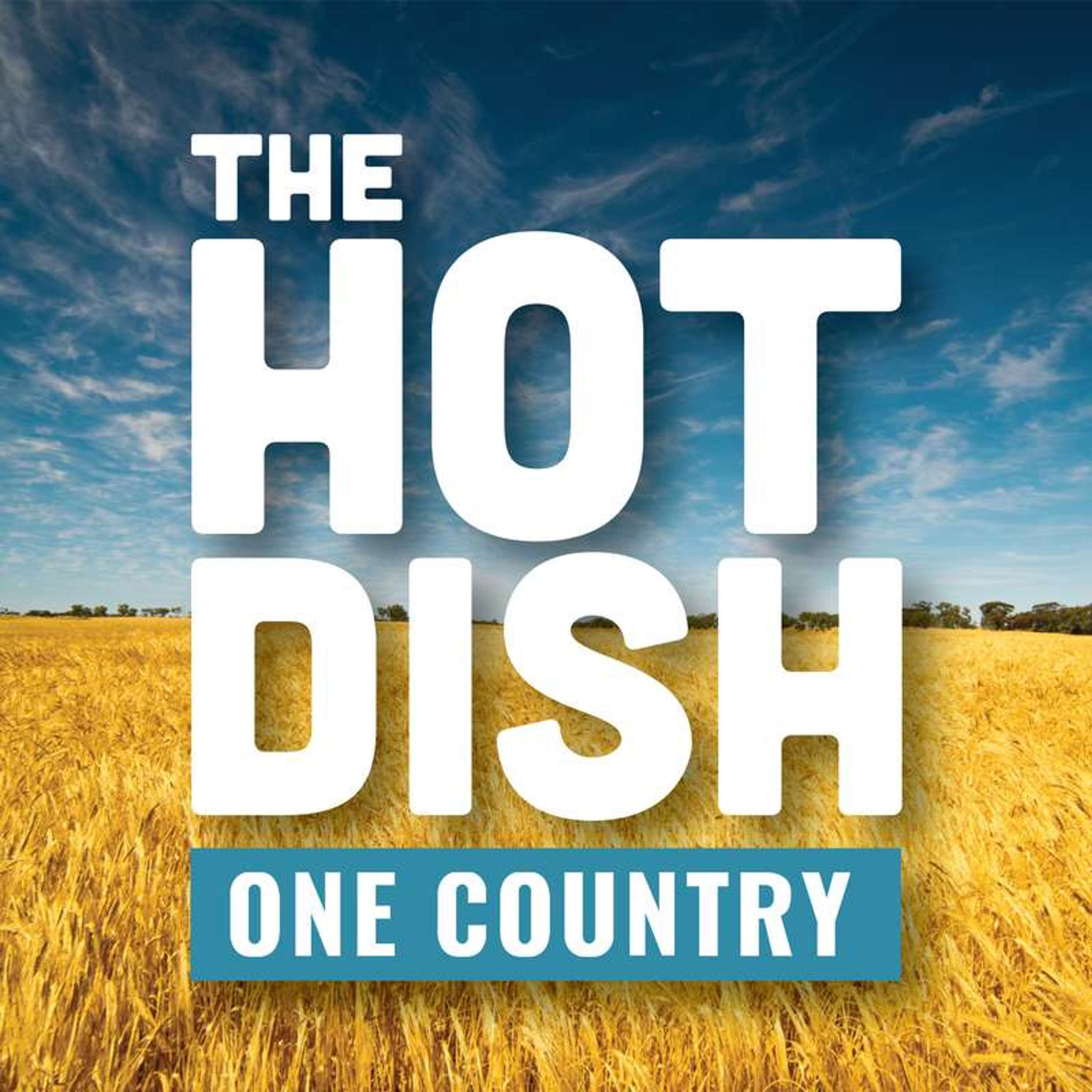 One Country Project\'s Hot Dish