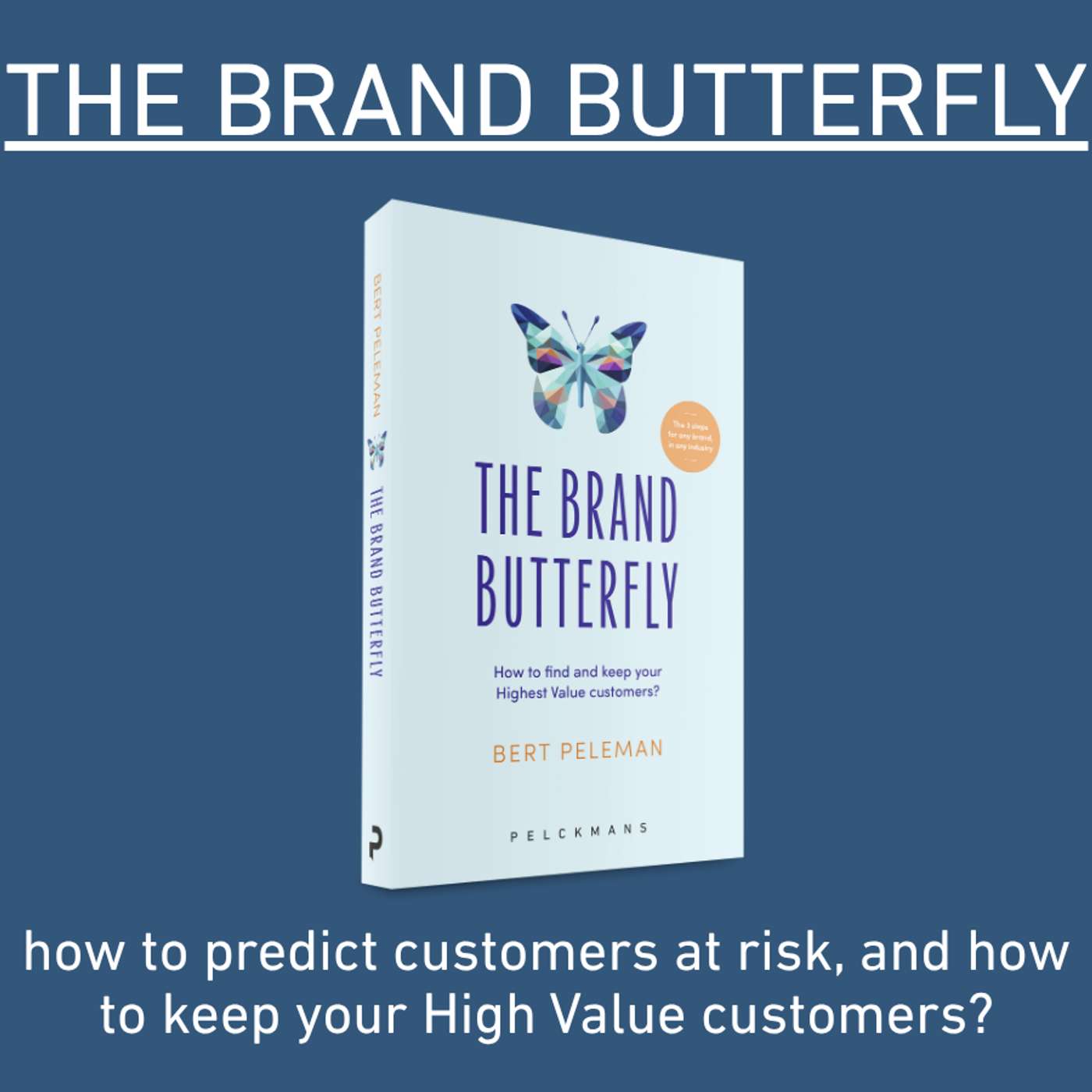 8. The Brand Butterfly – how to predict customers at risk, and how to keep your High Value customers?
