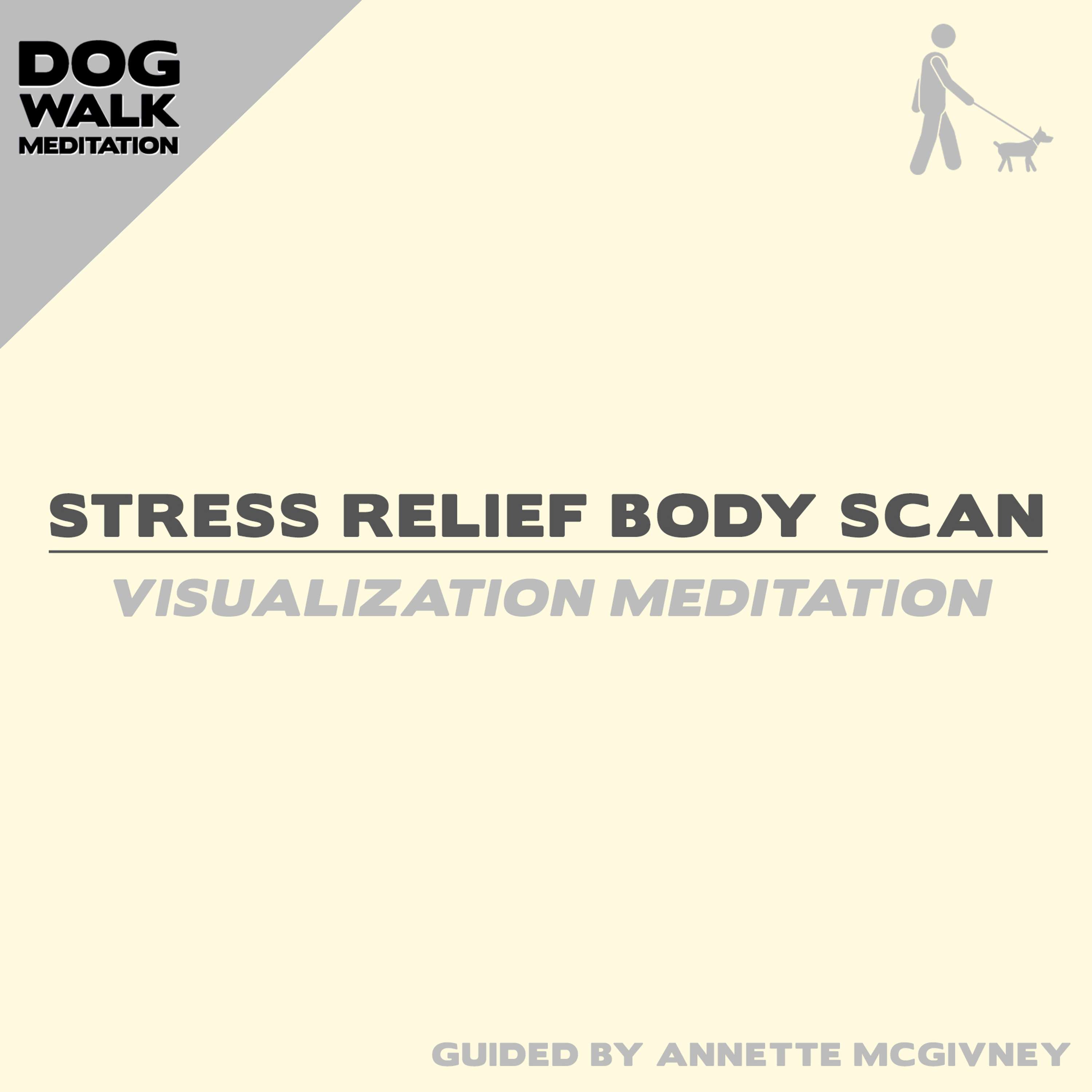 Stress Relief Body Scan (Visualization Meditation)