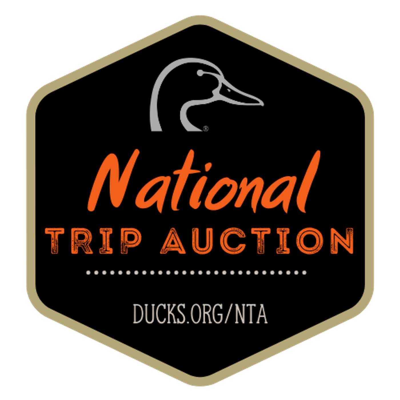 Ep. 699 - Bid on Your Dream Adventure: A Deep Dive into the National Trip Auction