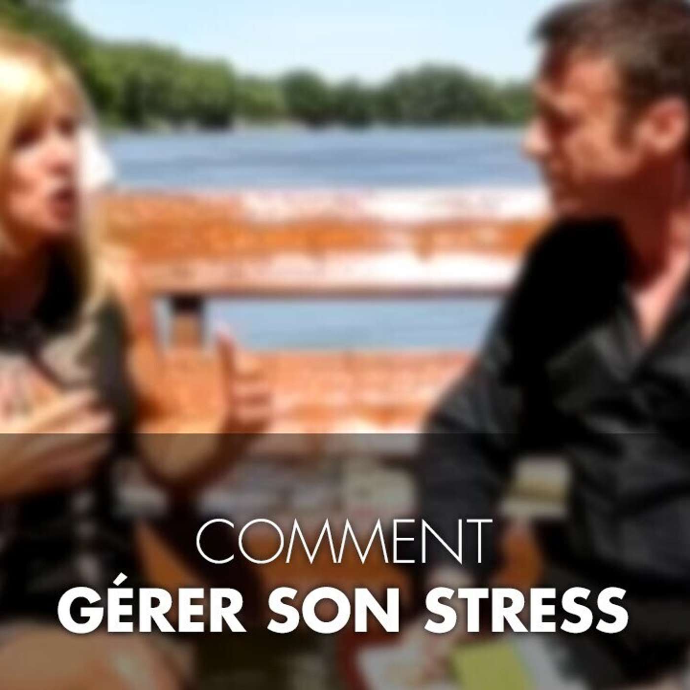 Le Podcast de Franck Nicolas