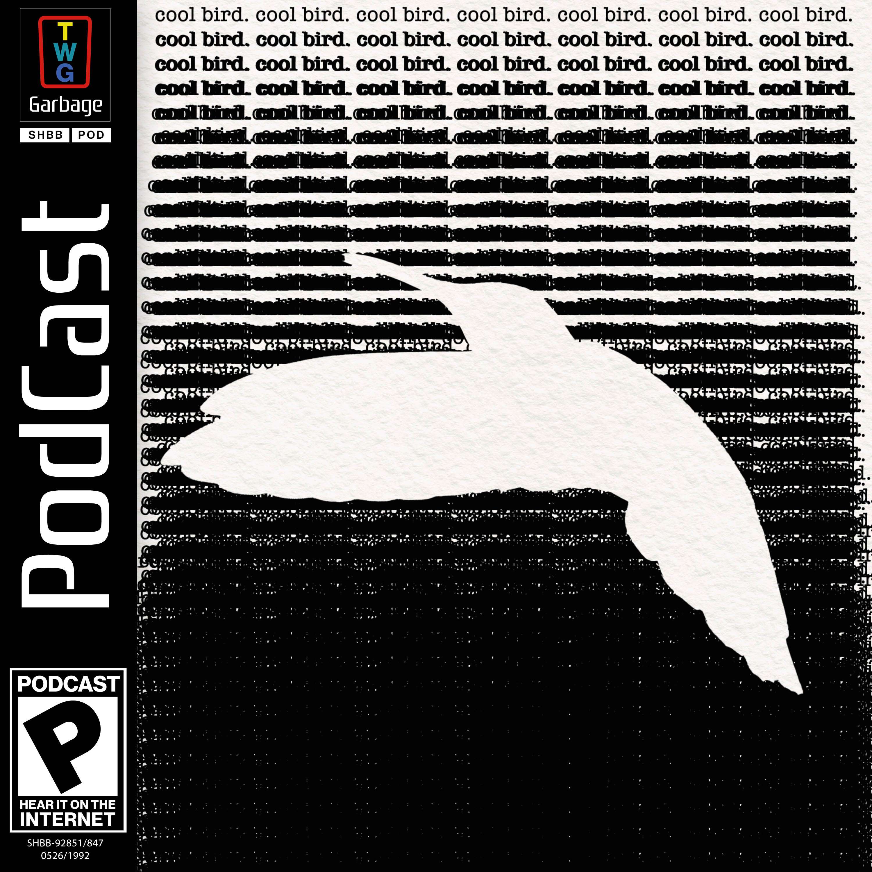 Cool Bird! (feat. Dragon Age: The Veilguard) - podcast episode cover