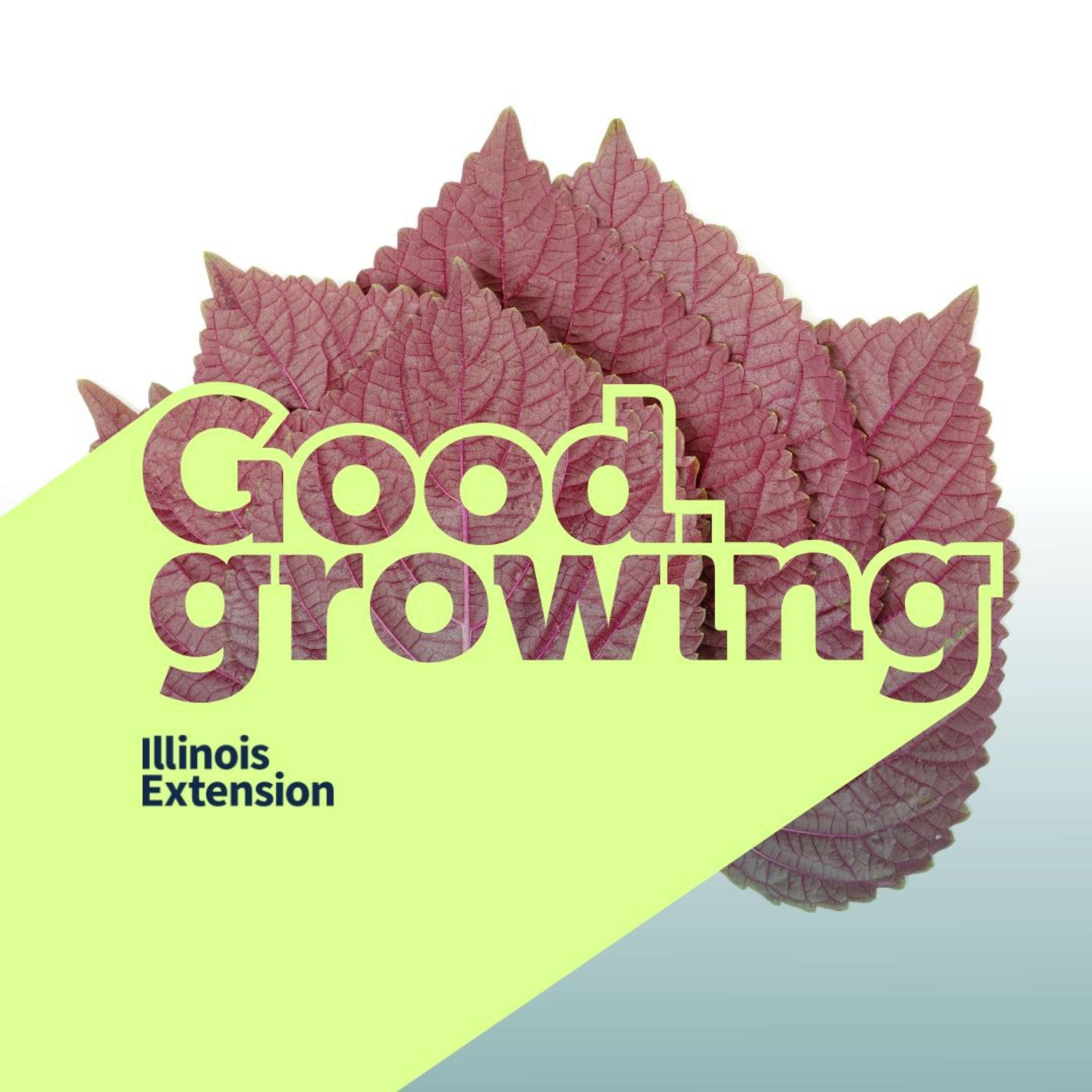 Good Growing