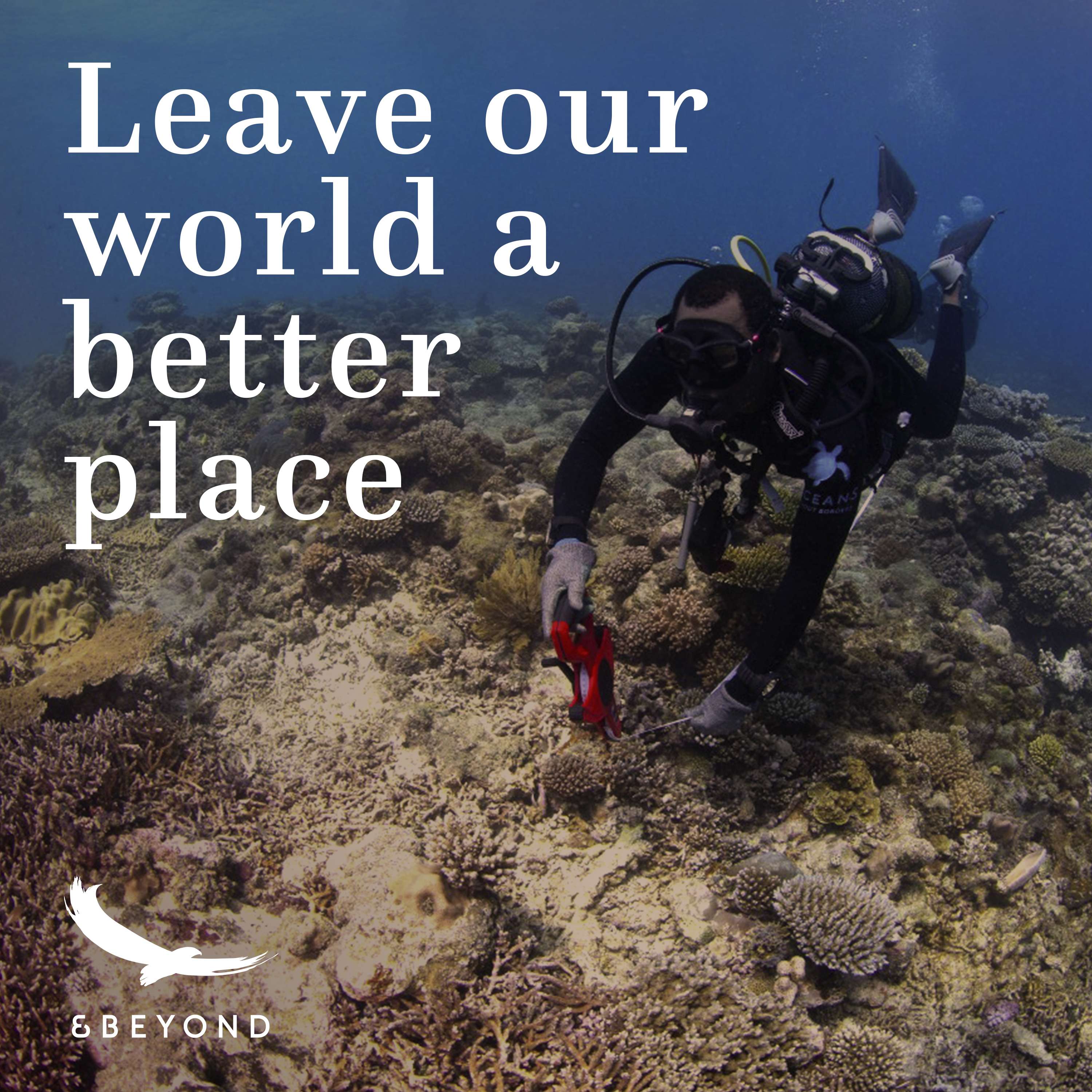 Better World