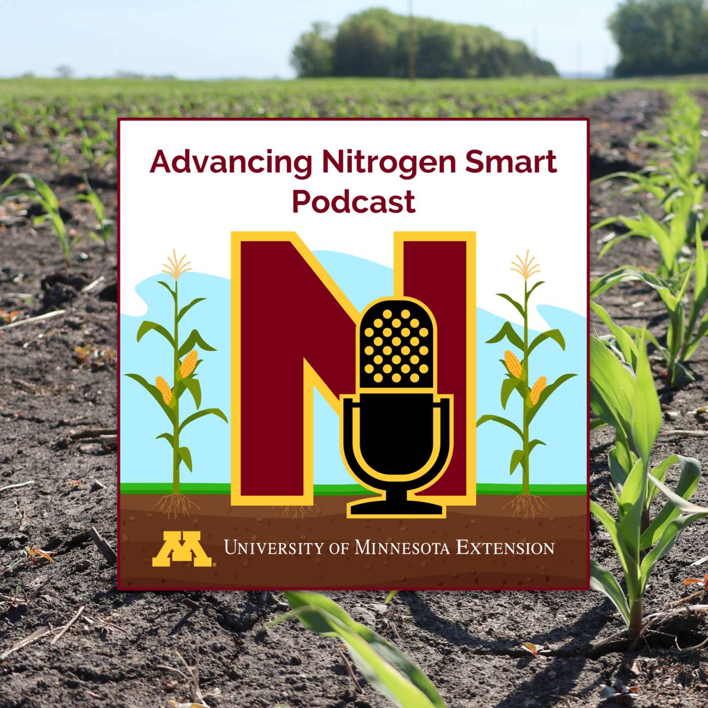 UMN Extension Nutrient Management Podcast
