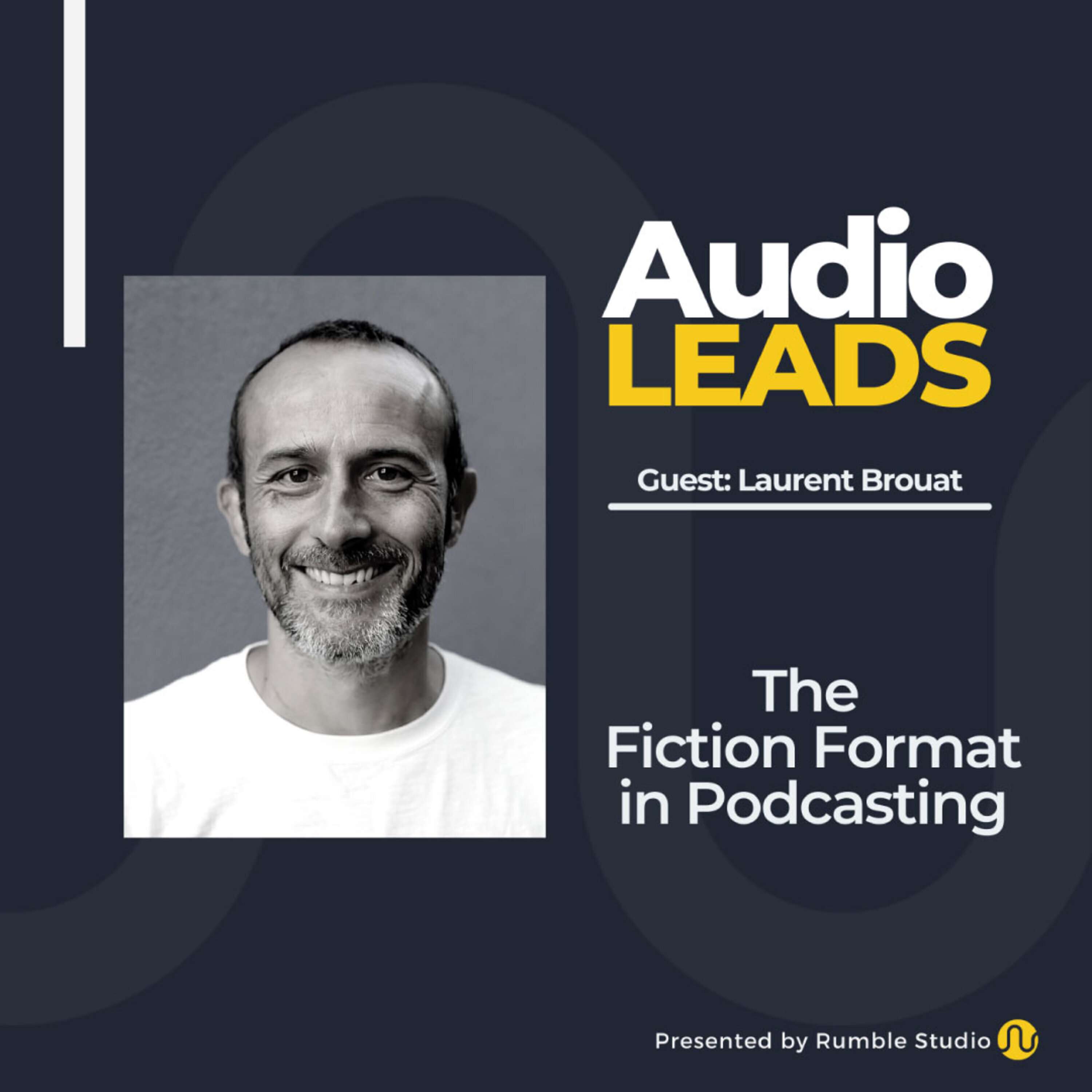Audio Leads