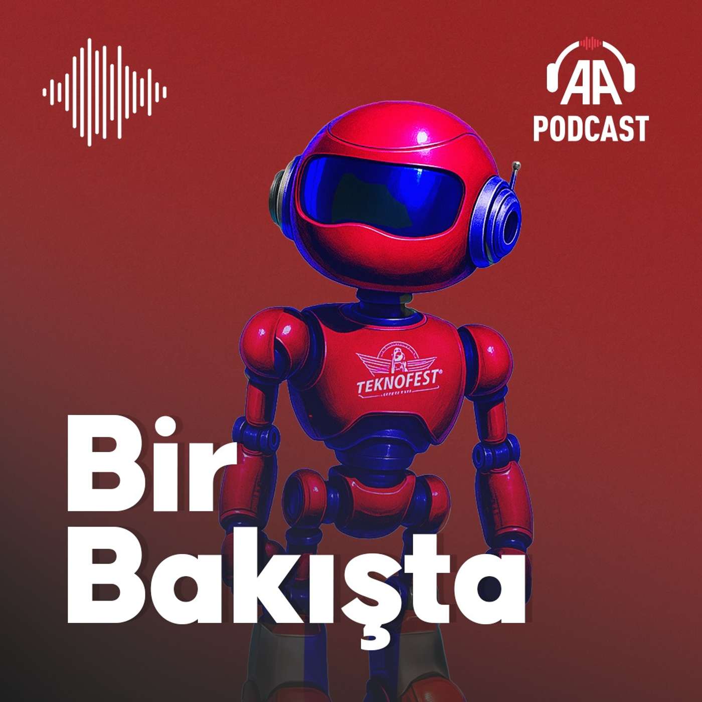 TEKNOFEST İstanbul 2025 ziyaretçilerini hafta sonunda neler bekliyor?